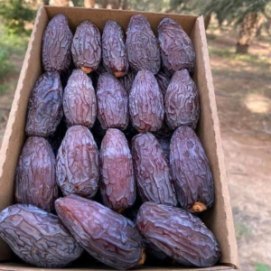 عسل نحل